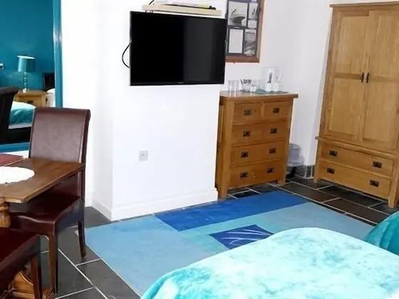 Superior Tek Büyük Yataklı Oda, Banyolu/Duşlu (With Lounge)