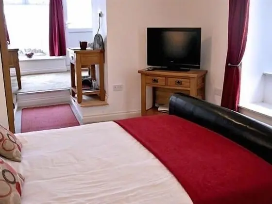 Superior Tek Büyük Yataklı Oda, Banyolu/Duşlu (With Lounge)