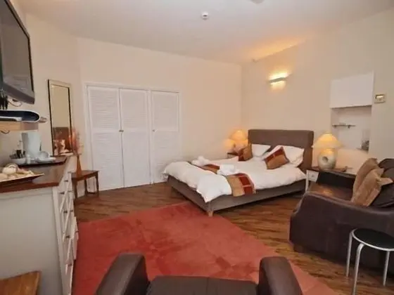 Superior Tek Büyük Yataklı Oda, Banyolu/Duşlu (With Lounge)