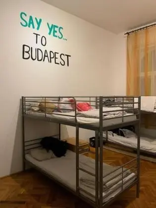 Ortak Ranzalı Oda, Karma Ranzalı Oda (Bed in 8-Bed Dormitory Room)
