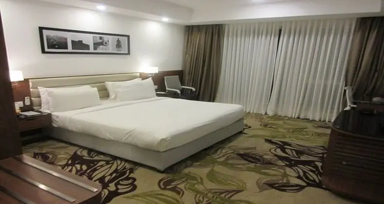 Executive Tek Kişilik Oda, 1 Yatak Odası, Engellilere Uygun, Şehir Manzaralı