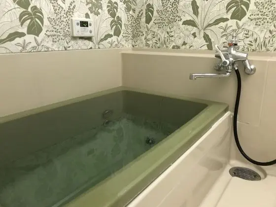 Standard Oda, 1 Yatak Odası, Sigara İçilmez (Room No.101 )