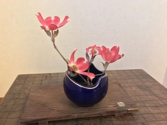 Traditional Oda, Sigara İçilmez (Japanese Tatami-mats. Room No. 201)