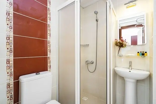 Standard Tek Büyük veya İki Ayrı Yataklı Oda, Sigara İçilmez, Şehir Manzaralı
