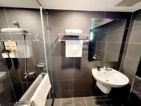 Tek Kişilik Oda, Banyolu/Duşlu