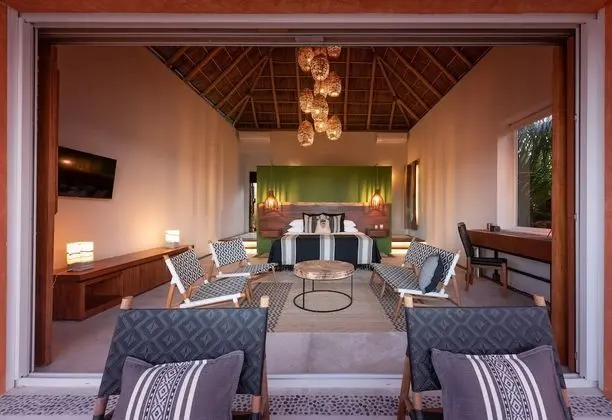Suite Patron, Adults Only