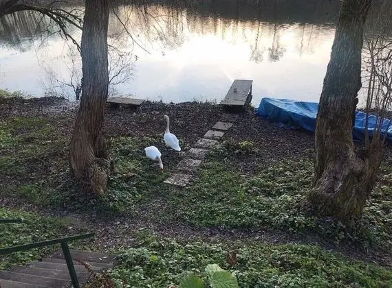 Kır Evi, Birden Çok Yatak