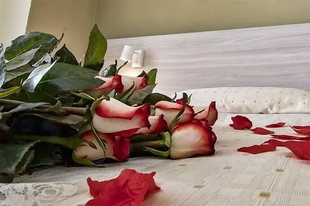 Standard Oda, 1 Yatak Odası