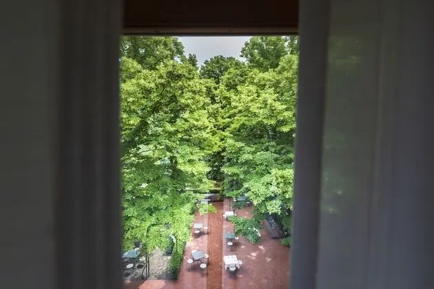 Süit