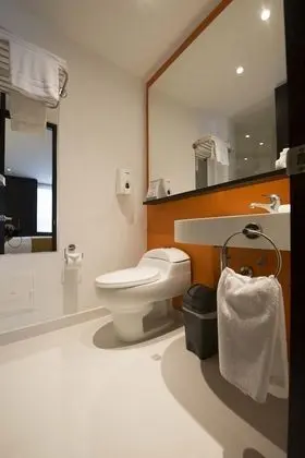 Tek Büyük Yataklı Oda, 1 Çift Kişilik Yatak