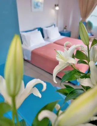 Stüdyo, Bahçe Manzaralı