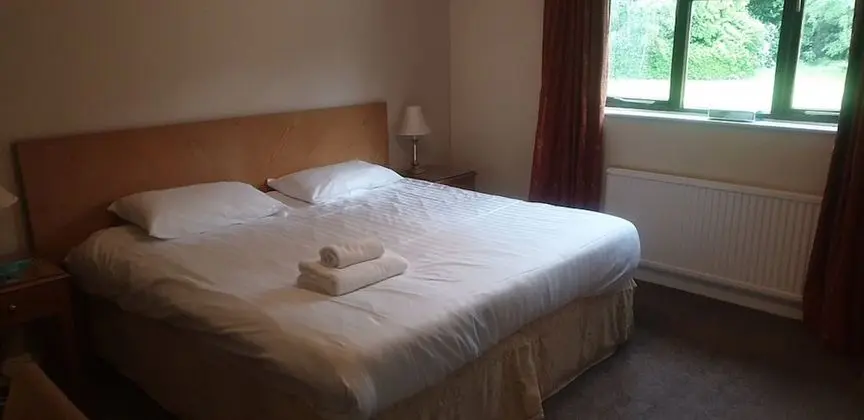 Standard Tek Büyük Yataklı Oda, 1 Çift Kişilik Yatak