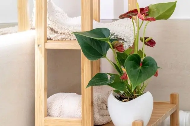 Tek Büyük Yataklı Oda, 1 Büyük (Queen) Boy Yatak, Şehir Manzaralı (Giulietta)