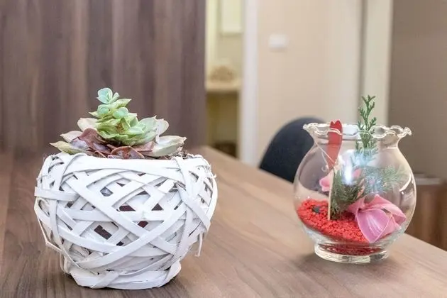 Tek Büyük Yataklı Oda, 1 Büyük (Queen) Boy Yatak, Şehir Manzaralı (Ida)