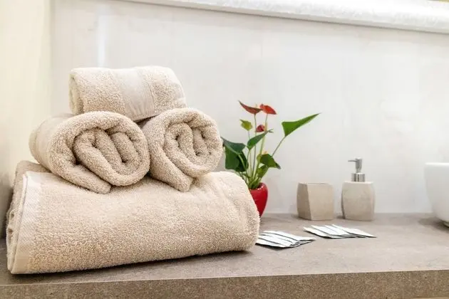 Tek Büyük Yataklı Oda, 1 Büyük (Queen) Boy Yatak, Şehir Manzaralı (Ida)