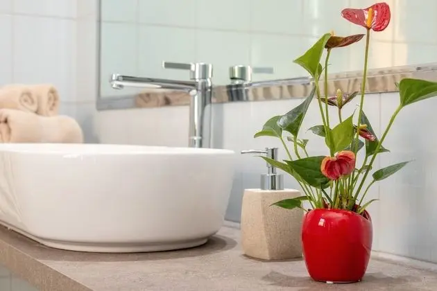 Tek Büyük Yataklı Oda, 1 Büyük (Queen) Boy Yatak, Şehir Manzaralı (Romeo)