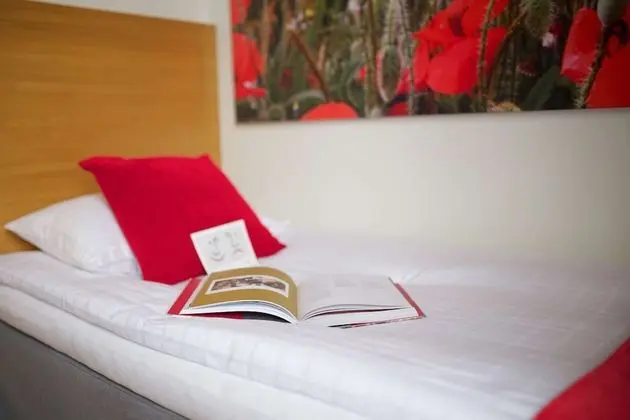 Economy Oda, 1 Büyük (Queen) Boy Yatak (30m from main building)