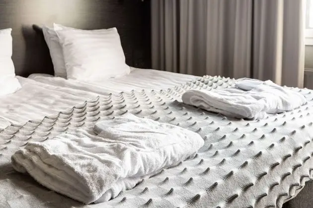 Superior Tek Büyük Yataklı Oda