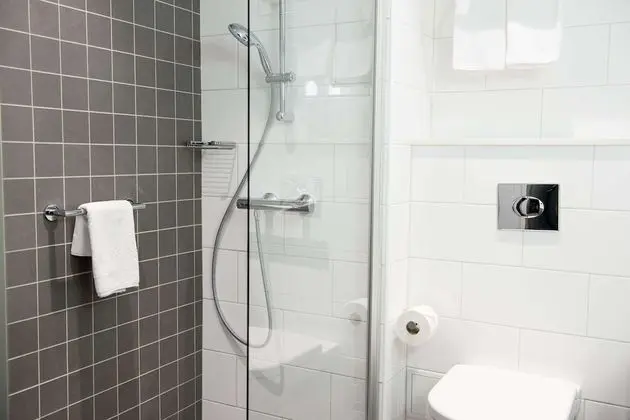 Standard Tek Büyük Yataklı Oda, 1 En Büyük (King) Boy Yatak