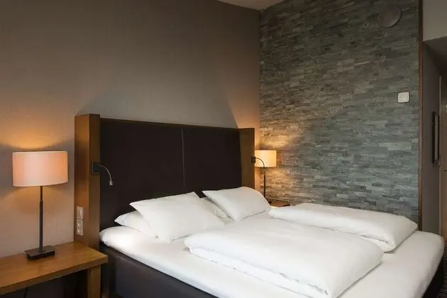 Standard Tek Büyük Yataklı Oda, 1 En Büyük (King) Boy Yatak