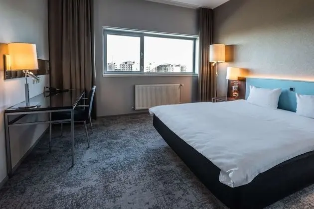 Standard Tek Büyük Yataklı Oda, 1 En Büyük (King) Boy Yatak