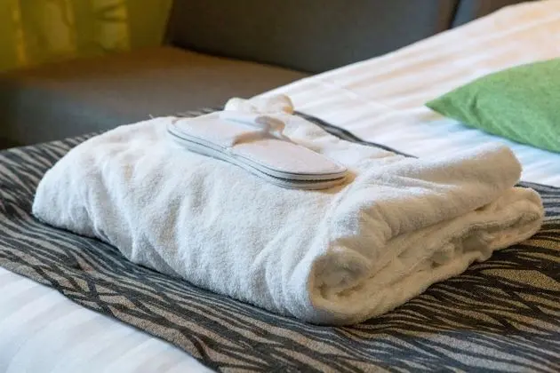 Superior Tek Büyük Yataklı Oda