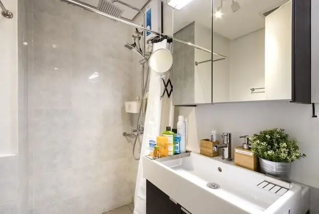 Luxury Stüdyo, 1 Büyük (Queen) Boy Yatak, Şehir Manzaralı