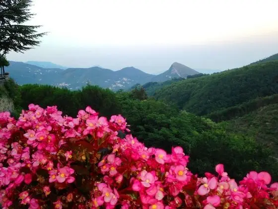 Süit, 1 Büyük (Queen) Boy Yatak, Vadi Manzaralı