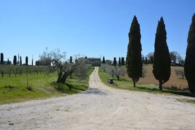 Villa, 5 Yatak Odası, Şömine