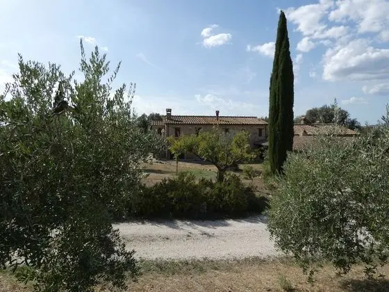 Villa, 5 Yatak Odası, Şömine