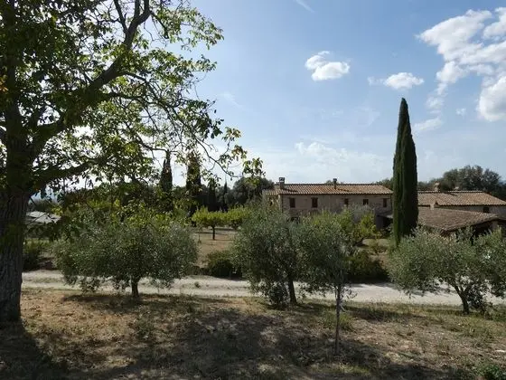 Villa, 5 Yatak Odası, Şömine