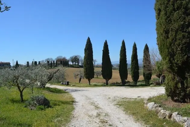 Villa, 5 Yatak Odası, Şömine