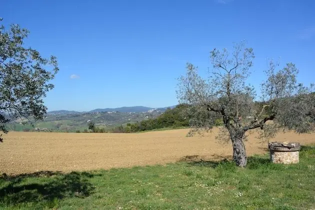 Villa, 5 Yatak Odası, Şömine