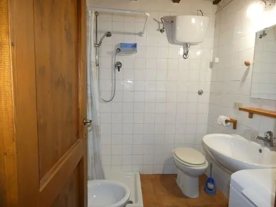 Ev, 1 Yatak Odası, Şömine
