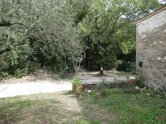 Ev, 1 Yatak Odası, Şömine