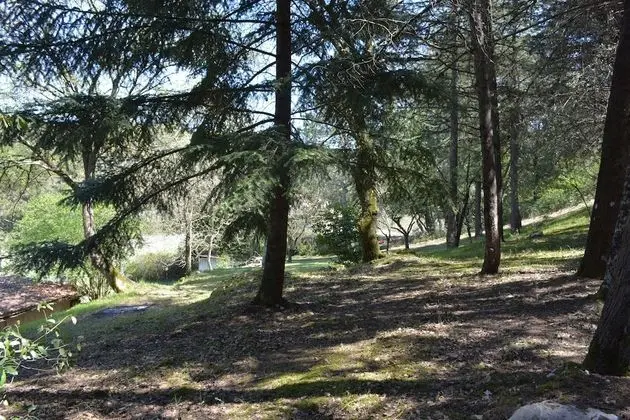 Villa, 3 Yatak Odası, Şömine