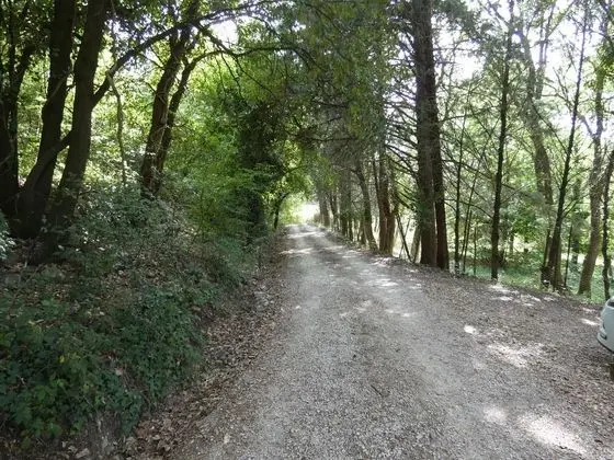 Villa, 3 Yatak Odası, Şömine