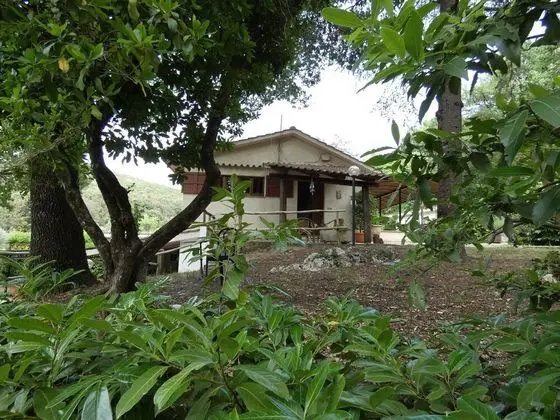 Villa, 3 Yatak Odası, Şömine