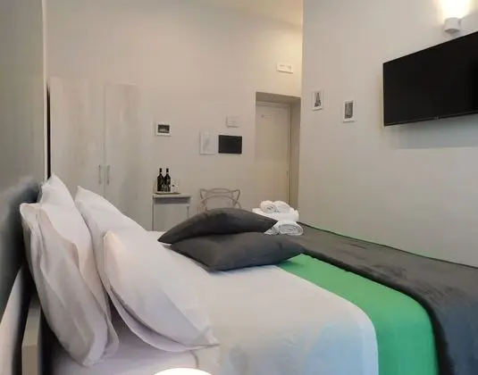 Standard Tek Büyük Yataklı Oda (Bastoni)