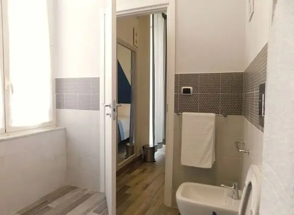 Standard Tek Büyük Yataklı Oda (Spade)