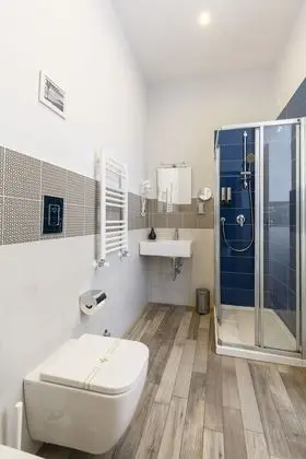 Standard Tek Büyük Yataklı Oda (Spade)