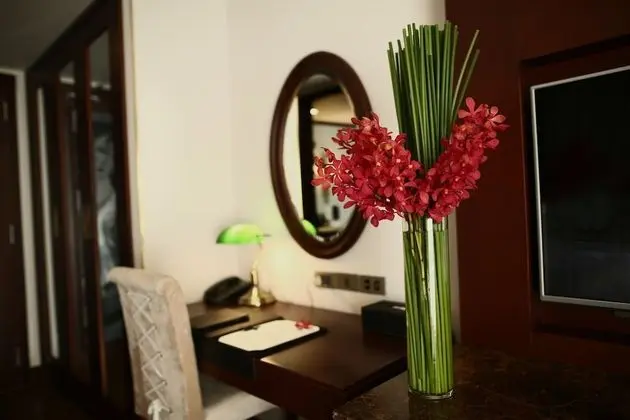 The Scarlett Suite