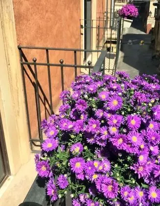 Deluxe Apart Daire, 1 Yatak Odası, Balkon