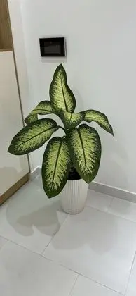 Apart Daire, 2 Yatak Odası, Balkon