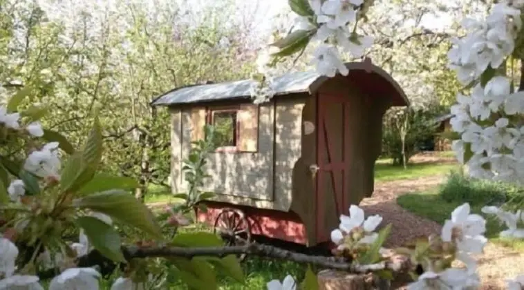 Karavan (1)