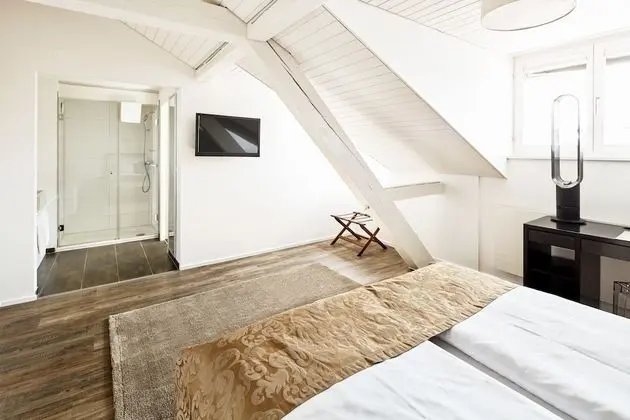 Superior Tek Büyük Yataklı Oda