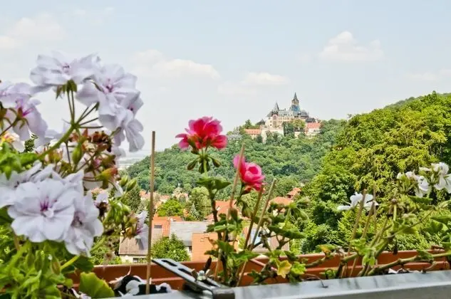 Stüdyo (3 adults)