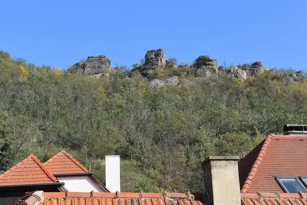 Standard Tek Kişilik Oda