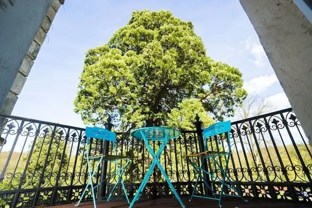 Classic Tek Büyük Yataklı Oda, Sigara İçilmez