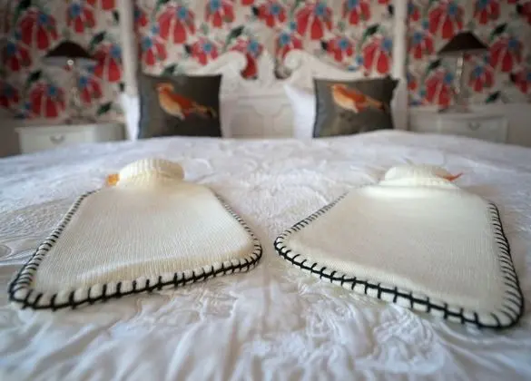 Superior Tek Büyük Yataklı Oda, Sigara İçilmez